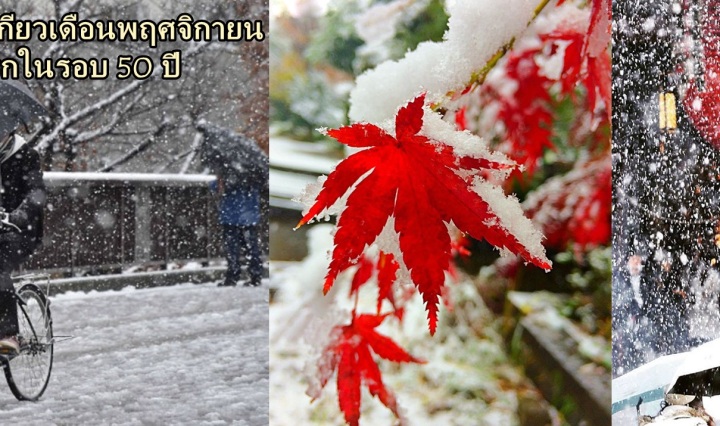 หิมะตกในโตเกียวเดือนพฤศจิกายน ครั้งแรกในรอบ 50 ปี